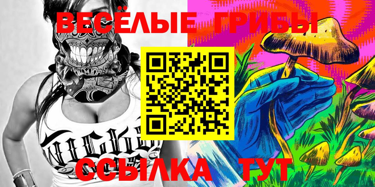 Псилоцибиновые грибы мицелий  Вход с VPN  Балтийск 