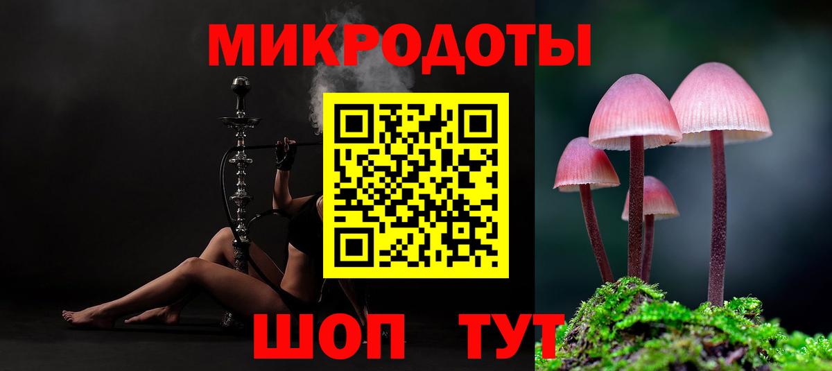 Галлюциногенные грибы Cubensis Балтийск